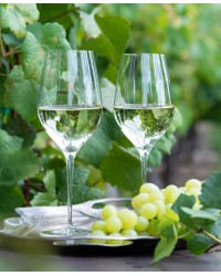 Набор из 2 бокалов для белого вина "Энотека"/"Oeno", 500ml clear